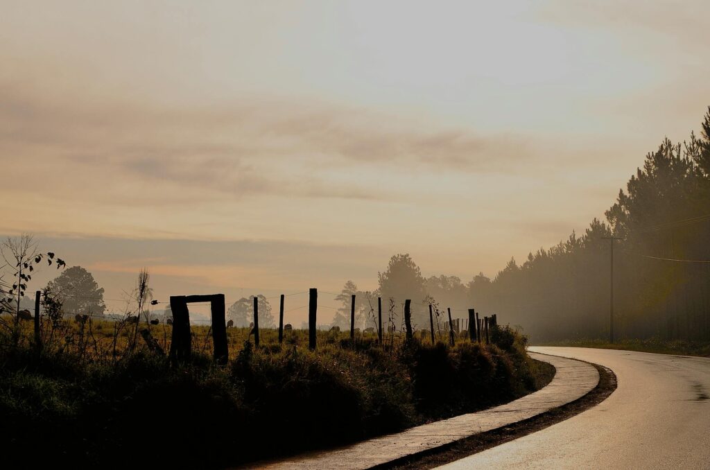 A tranquil rural road in El Dorado, Misiones at dawn with mist and silhouetted trees.