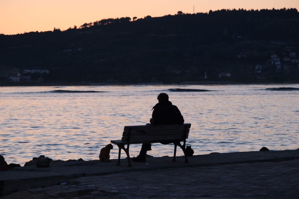 A person and cat enjoy a tranquil sunset by the Çanakkale seaside.